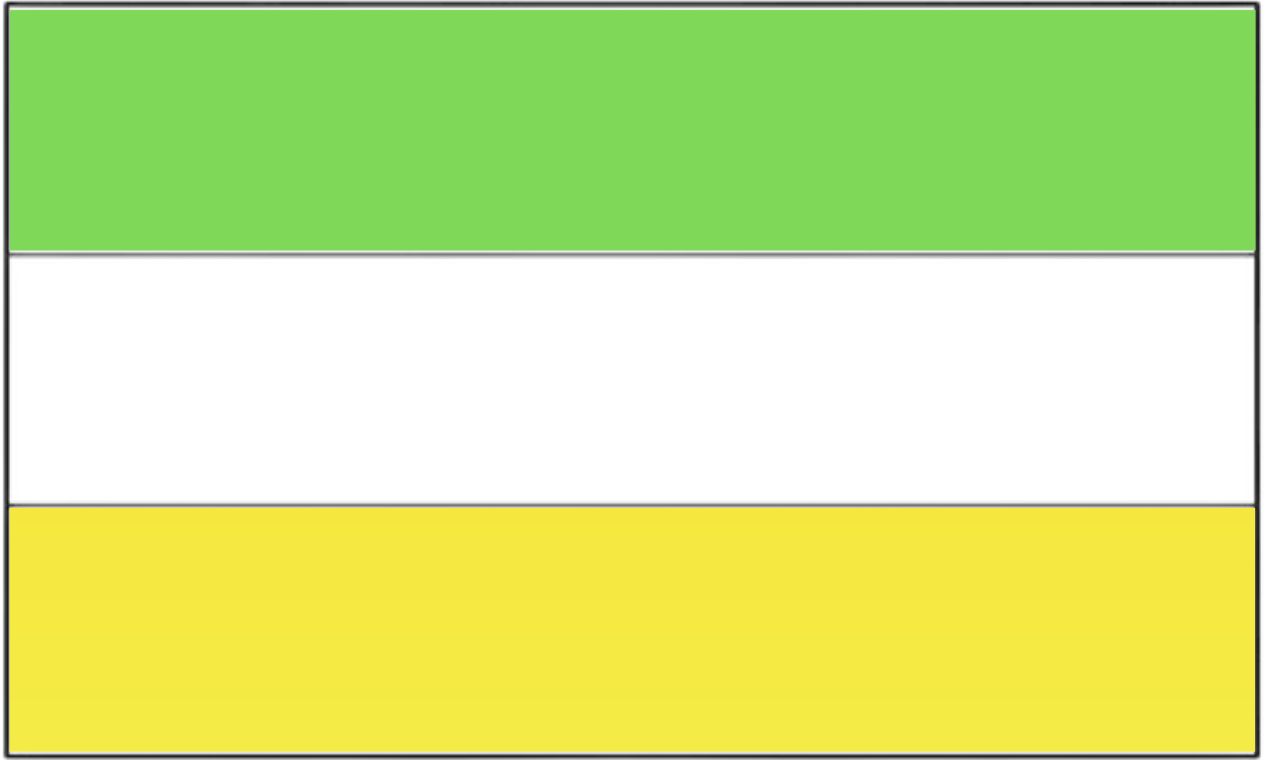 Bandera Institucional